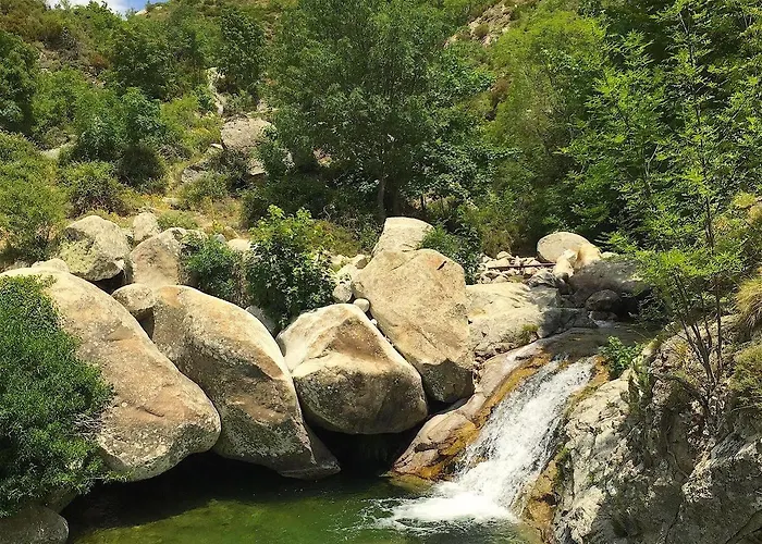 Du Pietri בית הארחה Olivese