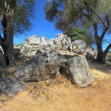 Du Pietri Olivese