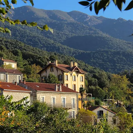 Du Pietri Olivese
