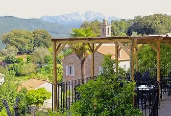 Du Pietri * Olivese