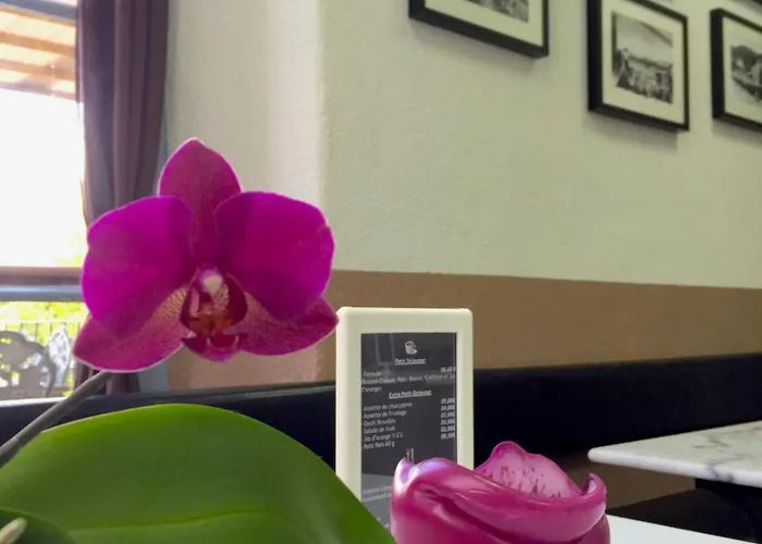 Du Pietri Konukevi *